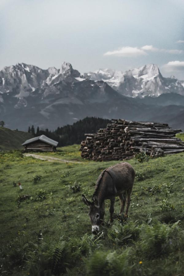 Gaestehaus Eder Ξενοδοχείο Sankt Martin am Tennengebirge Εξωτερικό φωτογραφία