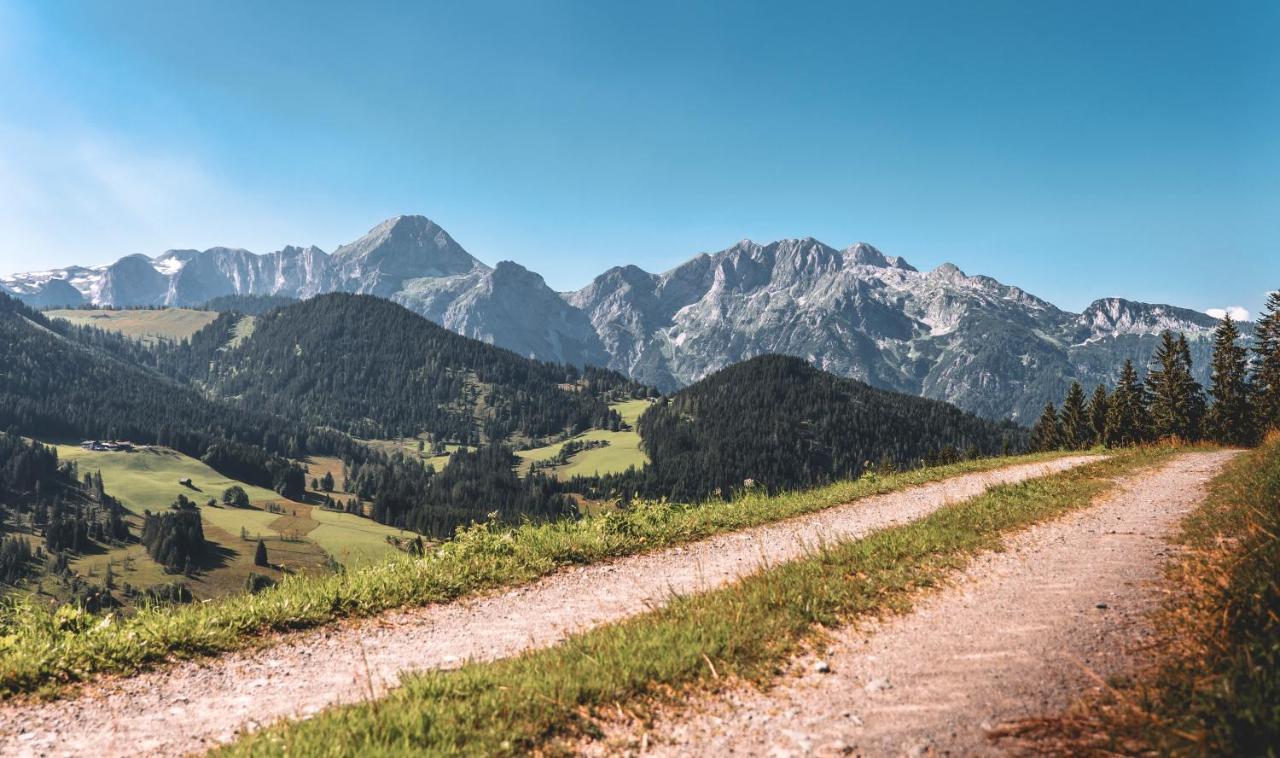 Gaestehaus Eder Ξενοδοχείο Sankt Martin am Tennengebirge Εξωτερικό φωτογραφία